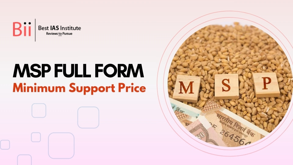 MSP Full form